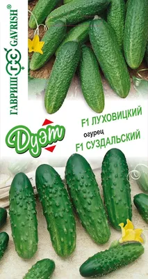 ✓ Набор семян Огурец Луховицкий F1, 10шт и Огурец Суздальский F1, 10шт,  Гавриш, Дуэт по цене 72 руб. ◈ Большой выбор ◈ Купить по всей России ✓  Интернет-магазин Гавриш ☎ 8-495-902-77-18