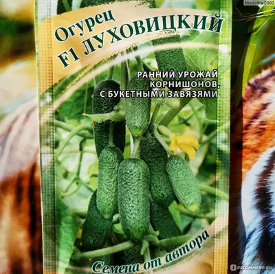 Огурцы луховицкие 500 г в Москве, цены: купить Огурцы с доставкой