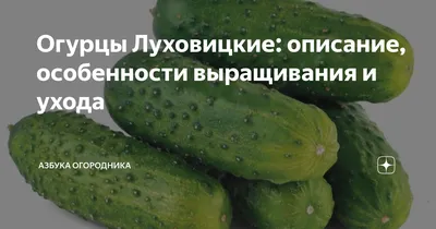 Заказать Огурцы Луховицкие оптом, цена за 1 коробку - интернет-магазин  AllGreen