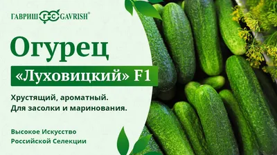 Луховицкий огурец 2023: программа фестиваля, дата и место проведения -  ALLFEST.RU
