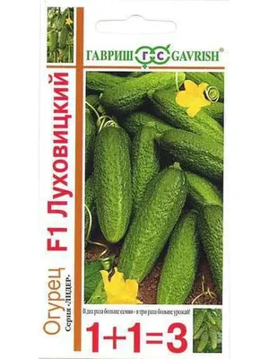 Огурцы по луховицкой технологии - Статья - Журнал - FORUMHOUSE