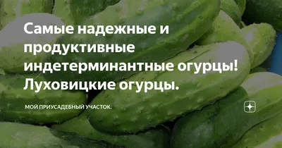 Огурцы \"Луховицкие\" 0,5 кг , купить с доставкой в магазине Деревня Живёт в  Москве и области.