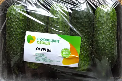 Огурец Луховицкий F1 1+1 (20 шт)