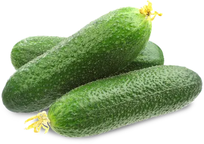 Луховицкие огурцы