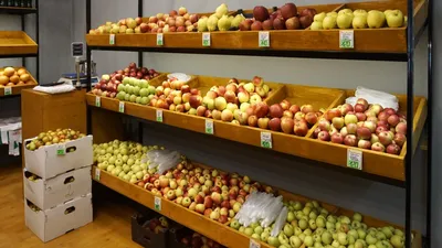 Покупатели магазинов вправе выбирать овощи и фрукты без перчаток -  Российская газета