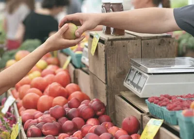 Аренда павильона овощи-фрукты | Рынок Сатурн