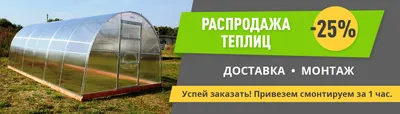 Купить Теплицы \"Ботаник\" из трубы 40x20 с системой \"КРАБ\" + поликарбонат в  Минске: цена, фото, отзывы | Vipdacha.by