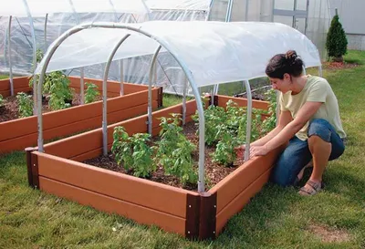 Парники своими руками 200 фото | Backyard greenhouse, Cold frame, Raised  garden
