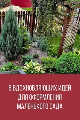 Мой маленький сад с любовью и миром Стоковое Фото - изображение  насчитывающей лесопогрузчики, возможности: 267976458