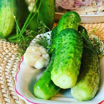 Соленья Огурцы соленые,консервированные из каталога Соленья
