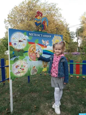 Мини – метеостанция в детском саду»