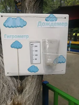 Метеоплощадка в детском саду | Экологический Десант