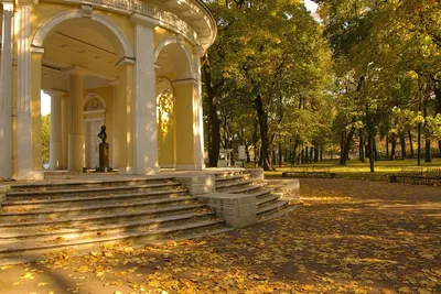 Михайловский сад