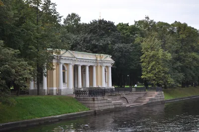 300-летняя липа, огромные лилии. Михайловский сад приглашает на экскурсии -  Российская газета