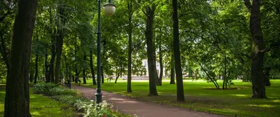 Михайловский сад. Сквер в центре Москвы, в котором нет ничего  примечательного, кроме его истории | Моспрогулка | Дзен