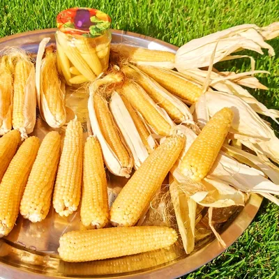Мини-кукуруза с чесноком и домашним майонезом • Кулинарный блог - Gastrokot