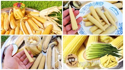мини-кукуруза на деревянной доске. здоровые овощи Стоковое Фото -  изображение насчитывающей рынок, питательный: 233850814