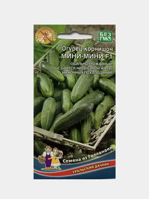 Огурец Бэби Мини F1, Голландия (5 шт)