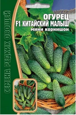 Огурцы в рассоле(Мини), острые, Badr, Иран, 1 шт. по 630 г - купить с  доставкой по выгодным ценам в интернет-магазине OZON (932021896)