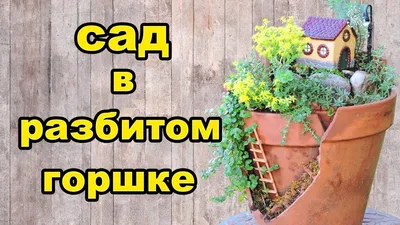 Мини-сад за стеклом: как создать флорариум - Телеканал «О!»