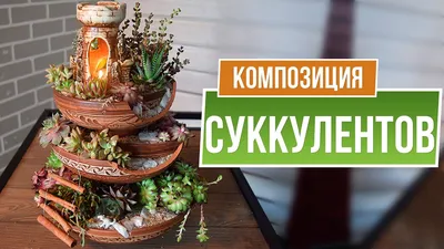 Мини-сад
