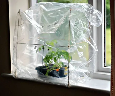 Мини-парник на подоконник | Indoor greenhouse, Diy greenhouse plans, Home  greenhouse