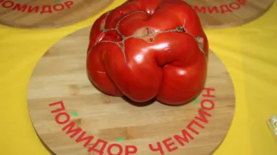 Томат Минусинский сахарный, 5 семян | Дачная Коллекция