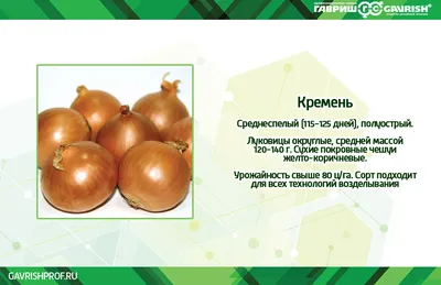 Agroportal - Как хранить зеленные овощи Лучшими сортами лука репчатого для  выращивания в комнатных условиях являются такие, как Арзамасский,  Бессоновский, Ростовский репчатый, Спасский, Скопинский, Троицкий и  некоторые другие, в основном ...