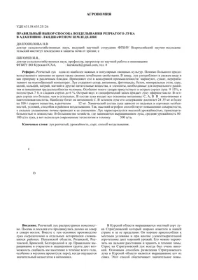 Посадка лука 2021 севком, рассадой, в грунт и короба по советам Сергея  Галкина — АгроXXI