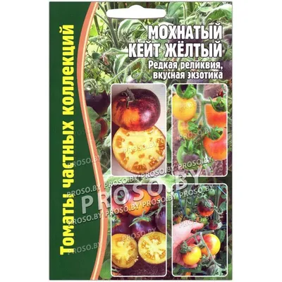 Томат - Мохнатый шмель (Пушистые томаты) - YouTube
