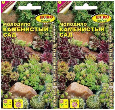 Молодило Каменистый сад 0,005г, семена | Купить в интернет магазине Аэлита