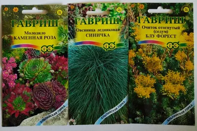 Семена Молодило Микс Цветов, Семена, 10 шт. Цена от 350 руб. . Отличная  всхожесть, есть инструкция. Купить с доставкой и онлайн оплатой. -  интернет-магазин Лесландия
