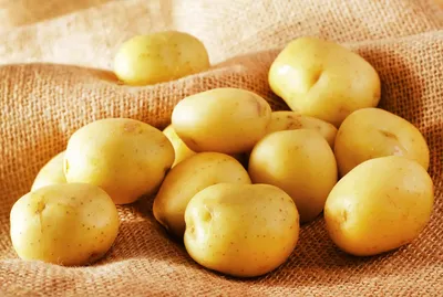 Как варить молодую картошку: простой рецепт - Рецепты, продукты, еда |  Сегодня
