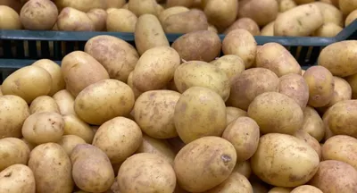 Картофель нового урожая по рекордно низким ценам в Грузии за всю историю  EastFruit — даже ниже, чем цены на прошлогодний картофель • EastFruit