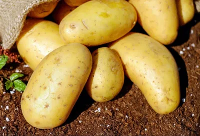 Как почистить молодой картофель солью – быстрый способ в кастрюле или пакете