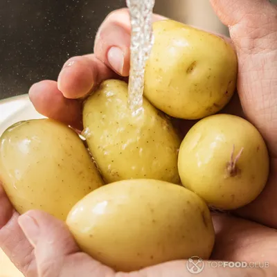 Молодой картофель может быть опасным для здоровья: кому нельзя употреблять  - Today.ua