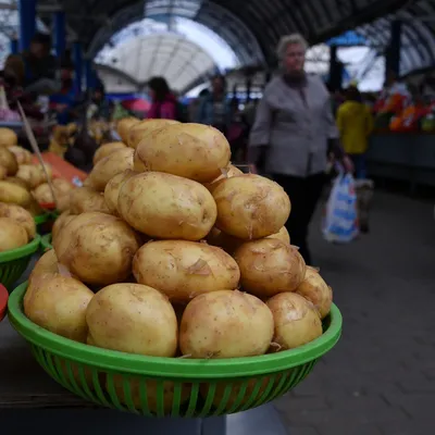 Волгоградцам рассказали, как правильно выбирать молодой картофель -  Волга-медиа
