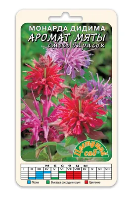 Монарда Кардинал (Monarda Kardinal) | АГРОНЕО