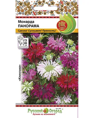 Монарда лимонная (Monarda Citriodora)