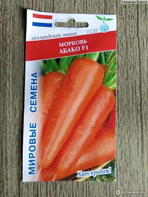 Семена моркови Seminis Абако f1 (abaco f1) (1,8-2,0) 1000000 семян – фото,  отзывы, характеристики в интернет-магазине ROZETKA от продавца: Агросіті |  Купить в Украине: Киеве, Харькове, Днепре, Одессе, Запорожье, Львове