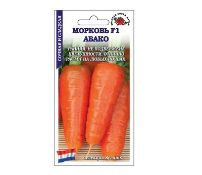 Семена моркови морковь Абако F1 (Seminis) 10 г — ранний гибрид (90-95  дней): продажа, цена в Павлограде. Семена и рассада овощных культур от  \"АгроКонсультант\" - 1725301887
