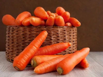 Болезни и вредители моркови. Профилактика и методы борьбы - YouTube