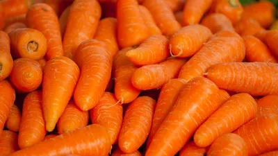СтопКоронавирус.РФ - 🥕 Морковь — кладезь витаминов! Она полезна при  лечении заболеваний печени, сердечно-сосудистой системы, почек, желудка и  даже при упадке сил. Поэтому мы хотим рассказать вам больше об оранжевом  корнеплоде. ✴️