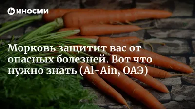 Система защиты моркови от сорняков, болезней и вредителей