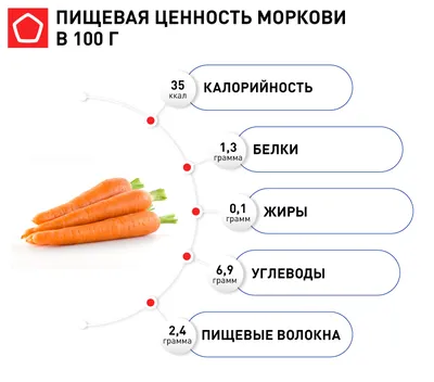 Почему гниет морковь : от причин до профилактики проблемы : LifeStyle :  Live24.ru