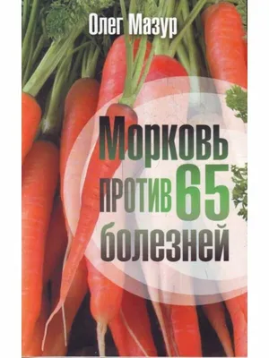 В филиале Россельхозцентра по Ростовской области рассказали, как сохранить  полезные свойства моркови при её хранении - газета \"Восход\"