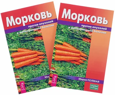 Чтобы морковь каждый год была крепкая и не болела, я использую севооборот.  Рассказываю, что лучше всего посадить после моркови | Росток🌷: заметки  садовода | Дзен
