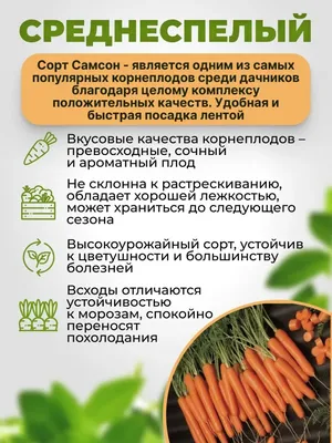 Польза моркови | Хитрости от хозяйки | ВКонтакте