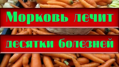 Болезни моркови при хранении: правила успешного хранения | Огородники