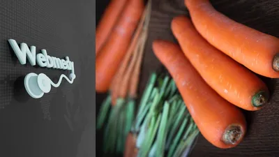 Морковь Абако F1 (Seminis) - купить семена из Голландии оптом - АГРООПТ